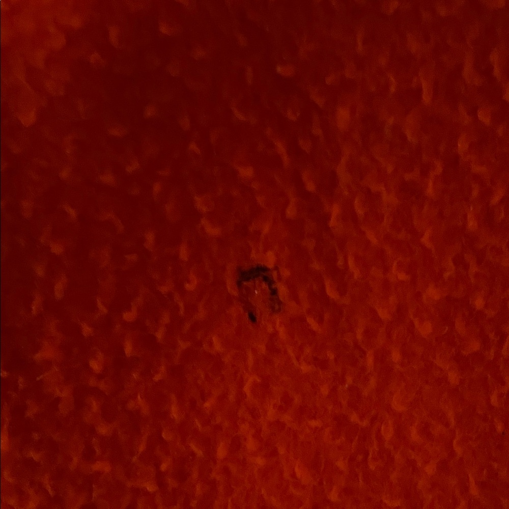 Rachel Comey bright orange (red) wool coat - Picture 5 of 9